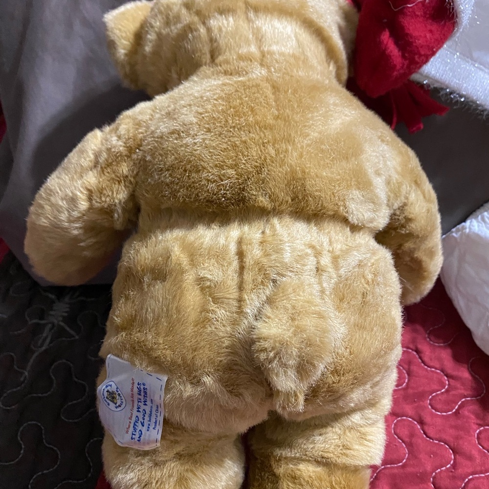 Build-A-Bear Bear with winter clothes - Picture 7 of 8